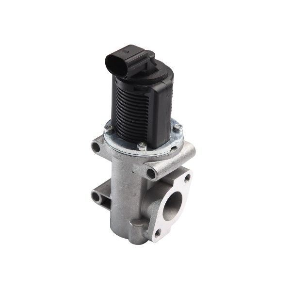 [2550] Vanne EGR Alfa Romeo, Fiat, Lancia - Joint métal : 2 Joint torique : 0 Nombre de pôles : 2
