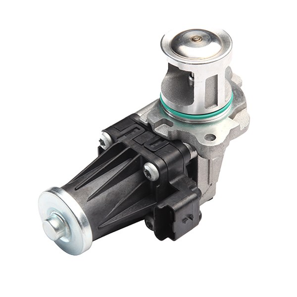 [2578] Vanne EGR PSA, Ford, Fiat, Volvo - Joint métal : 0 Joint torique : 1 Nombre de pôles : 5