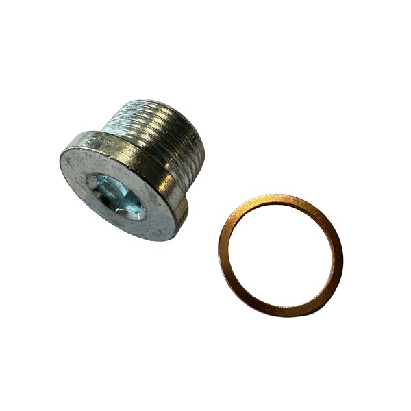 [30015BL] Kit bouchon de carter + joint Alfa PSA Iveco - diam. M22X150x14